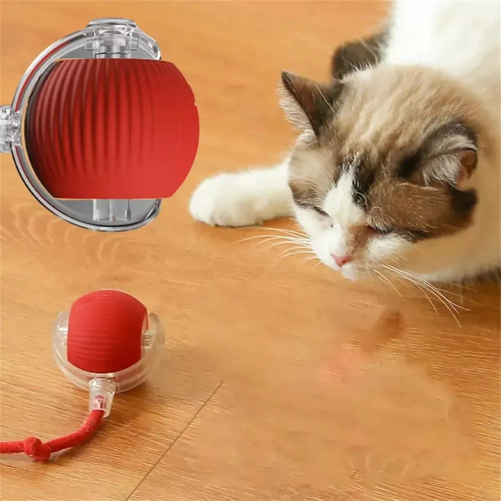 Pelota interactiva para mascotas